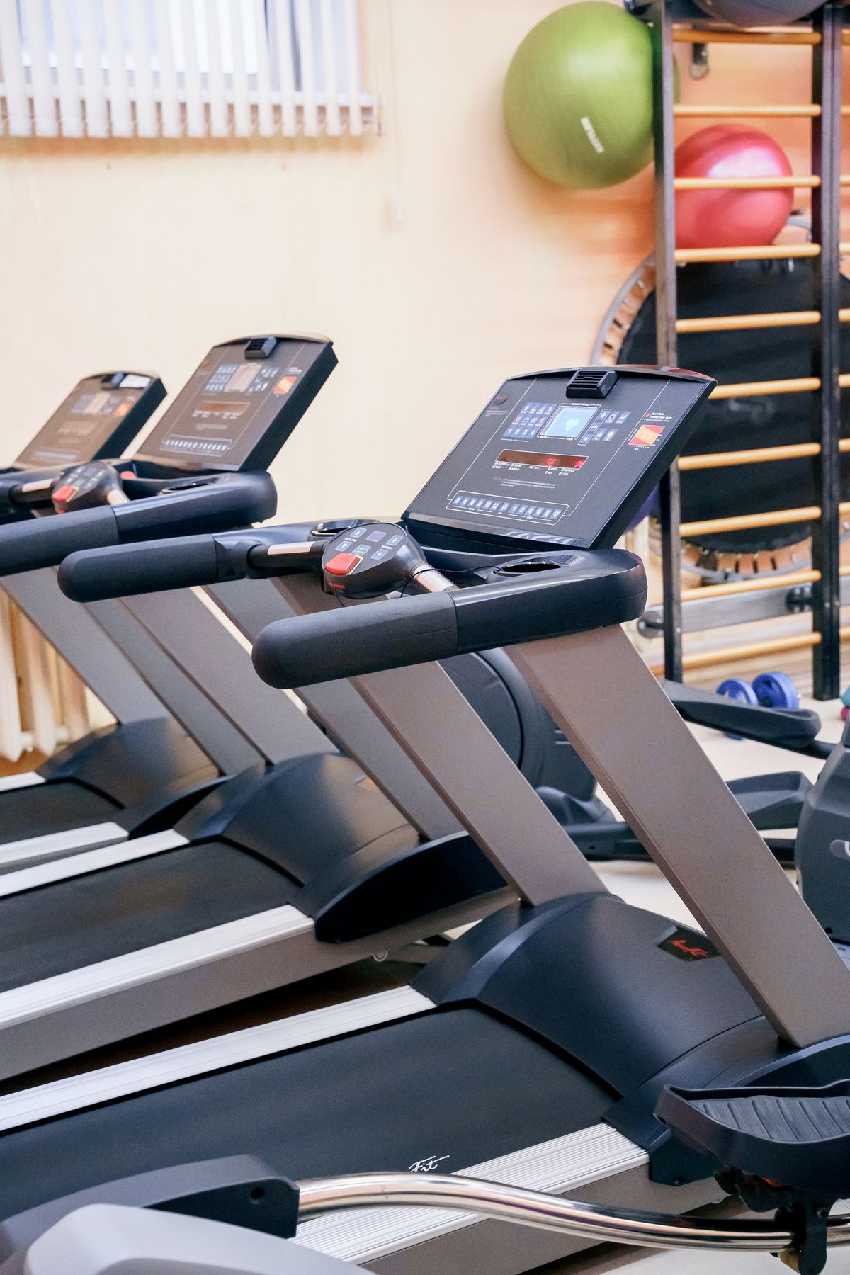Campo de Gym